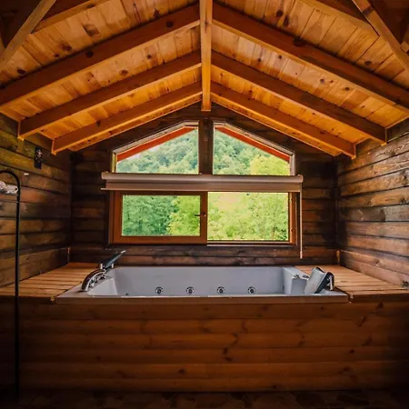 Chalet Golden Deer Luxury Sapanca